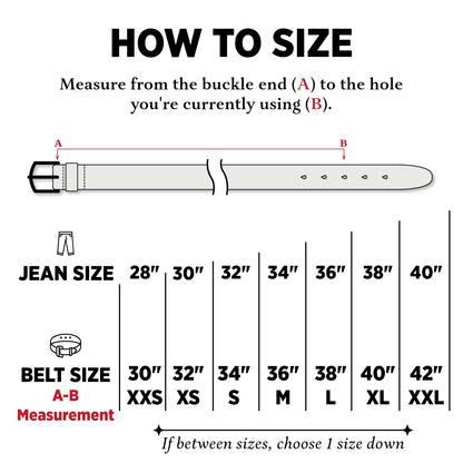 The Standard Belt